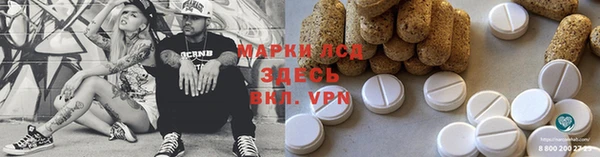 СК Алексин