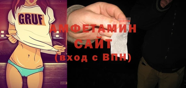 СК Алексин